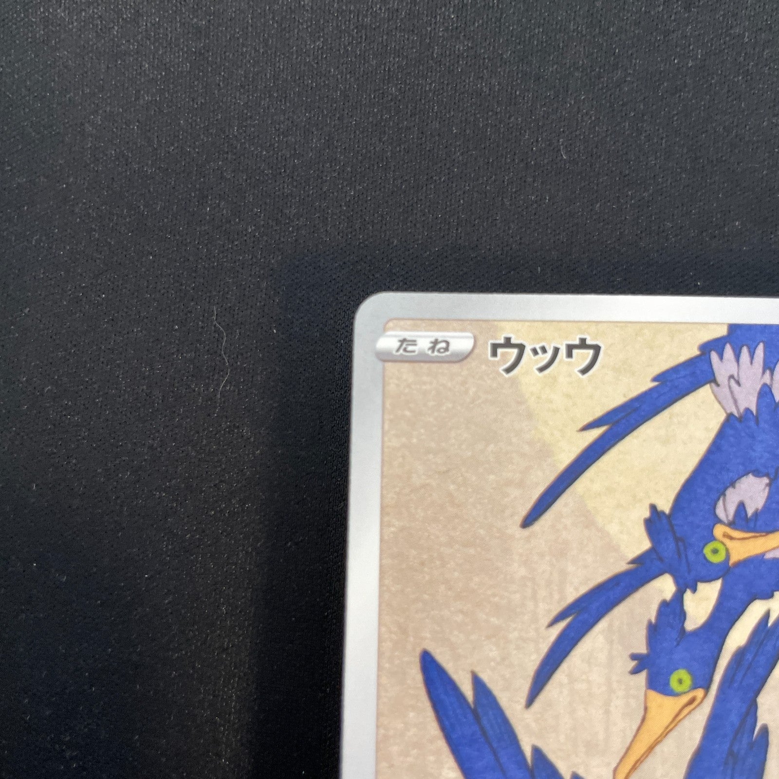 [US Seller] Cramorant 226/S-P Full Art Stamp Promo Japanese Card Pokemon