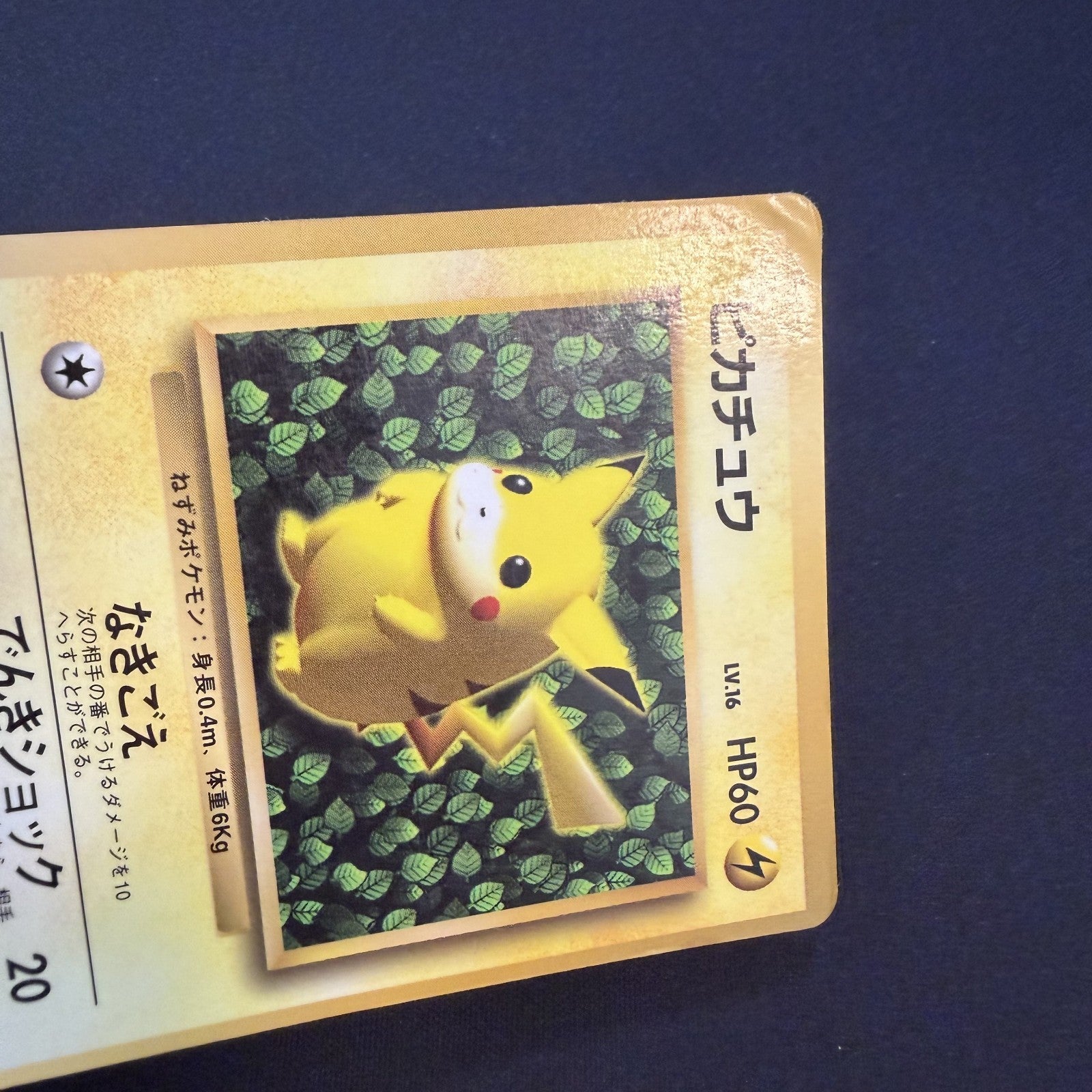 [US Seller] Pokemon Ivy Pikachu No.025 CoroCoro Comic Promo Glossy Japanese Card