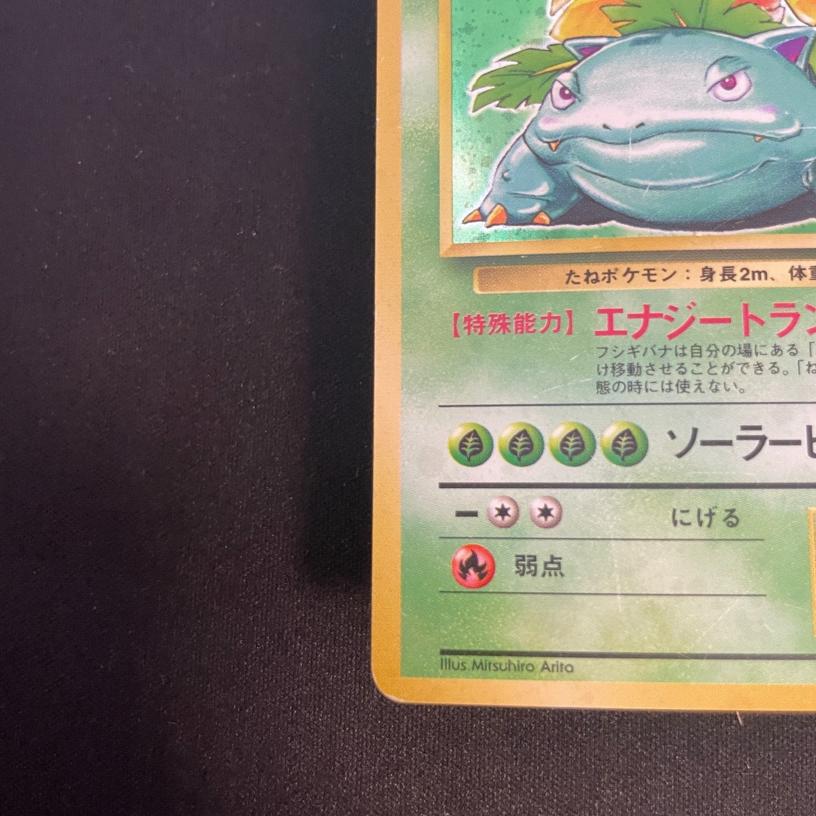 [US SELLER] Venusaur No.003 OLD BACK Japanese Pokemon Card base set