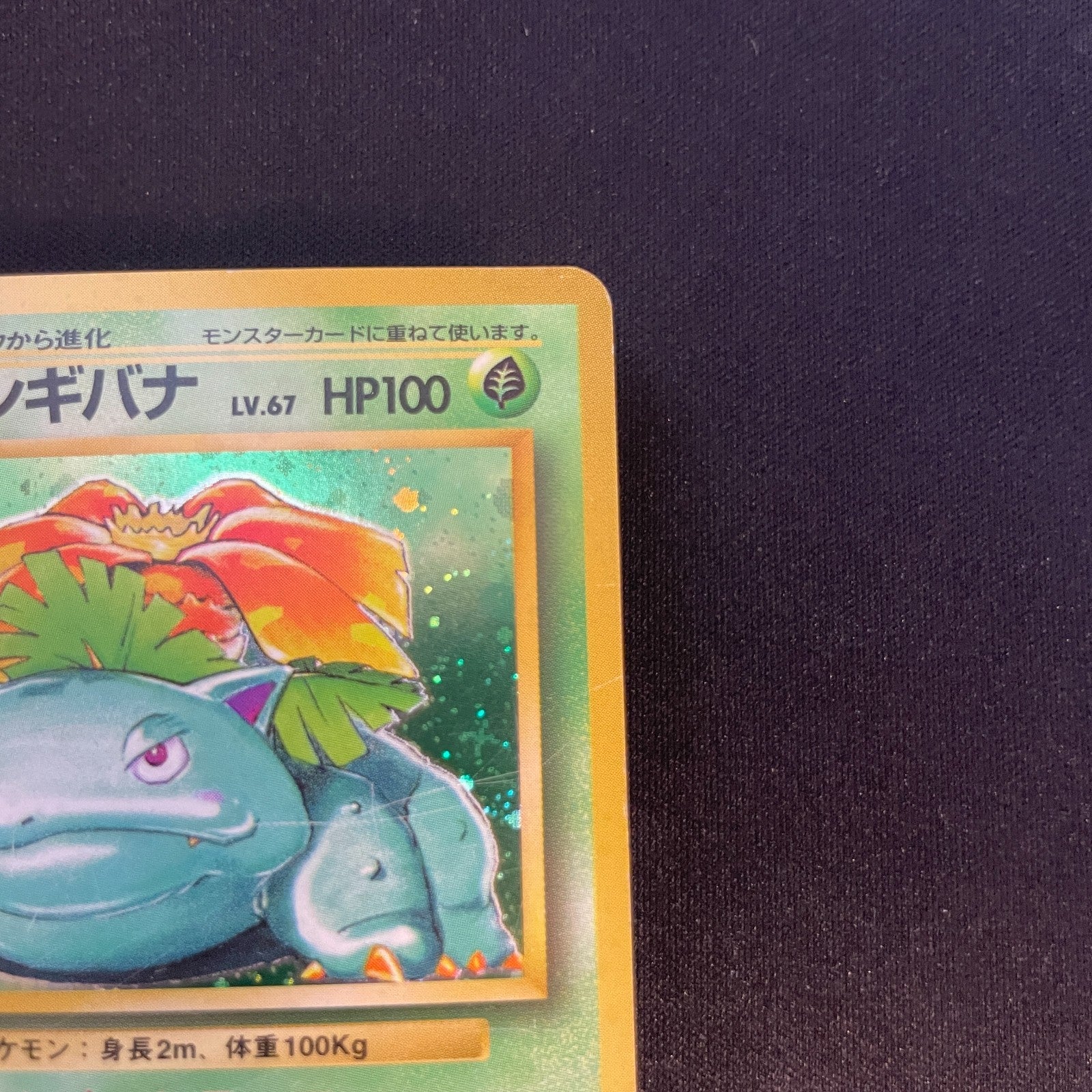[US SELLER] Venusaur No.003 OLD BACK Japanese Pokemon Card base set