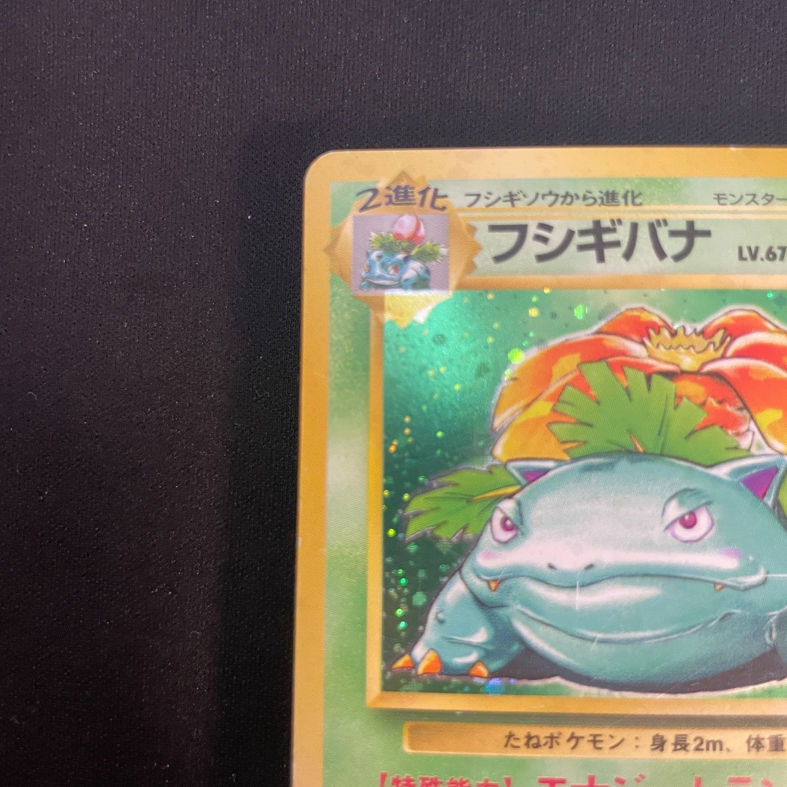 [US SELLER] Venusaur No.003 OLD BACK Japanese Pokemon Card base set