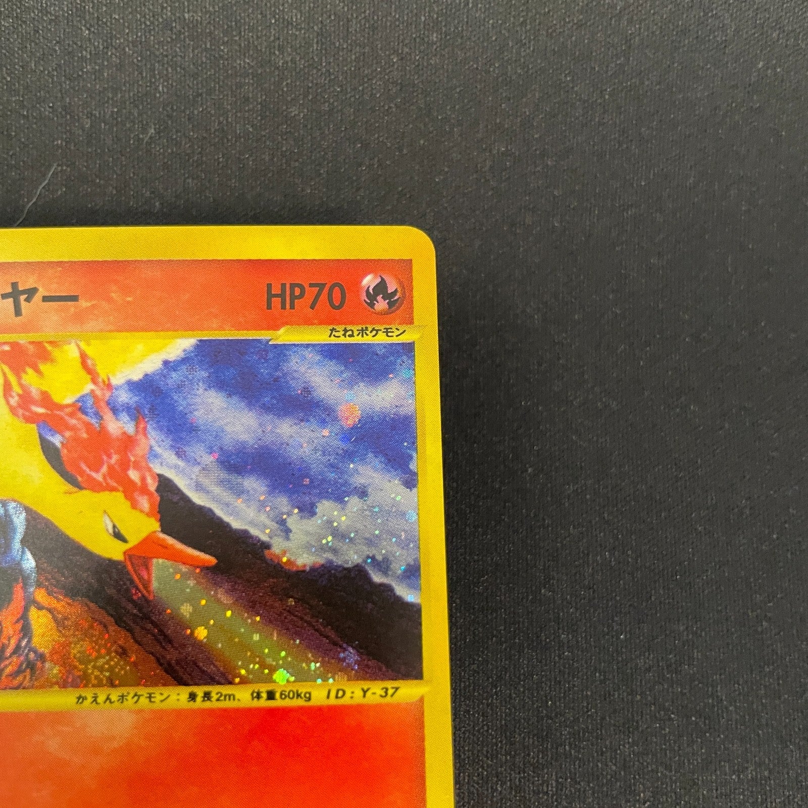 [US SELLER]  Moltres 043/048 Holo WEB Series Japanese Pokemon Card